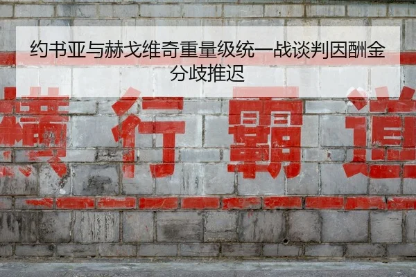 约书亚与赫戈维奇重量级统一战谈判因酬金分歧推迟
