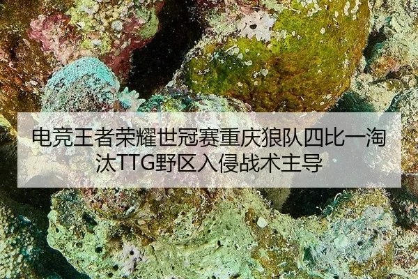 dian-jing-wang-zhe-rong-yao-shi-guan-sai-chong-qing-lang-dui-si-bi-yi-tao-tai-ye-qu-ru-qin-zhan-shu-zhu-dao-3-913.jpg