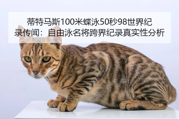 di-te-ma-si-mi-die-yong-miao-shi-jie-ji-lu-chuan-wen-zi-you-yong-ming-jiang-kua-jie-ji-lu-zhen-shi-xing-fen-xi-3-431.jpg